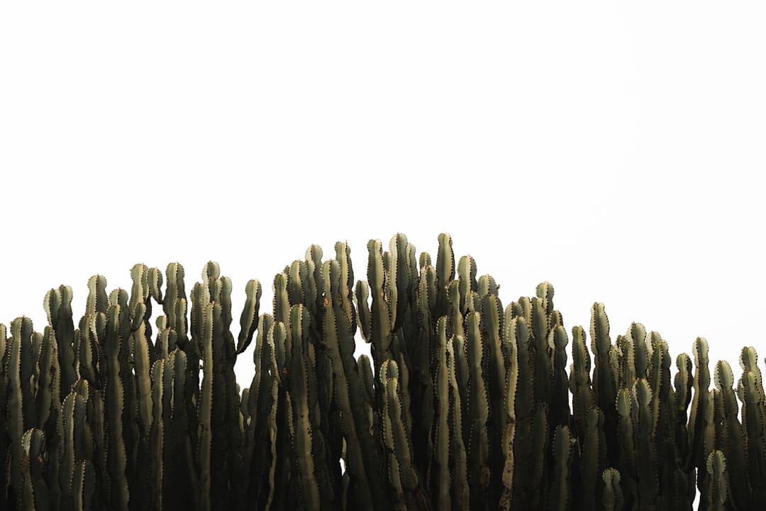 多次被拍到手背发黑，特朗普发展到哪个程度了？
